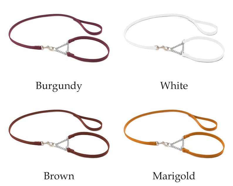 Op de afbeelding: Vier hondenriemen in verschillende kleuren: bordeaux, wit, bruin en goudsbloem. Elke riem heeft een lus handvat en een kleinere lus met een metalen ketting en sluiting. De kleuren staan onder elke riem.