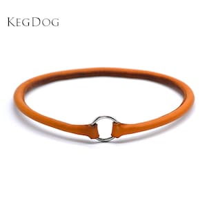 Thin Rolled Leather House Collar - Tag Collar - ID Dog Collar