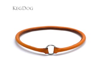 Thin Rolled Leather House Collar - Tag Collar - ID Dog Collar