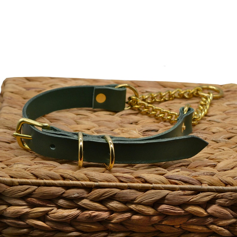 Leather Martingale Collar with Buckle Medium Breeds Fully Etsy