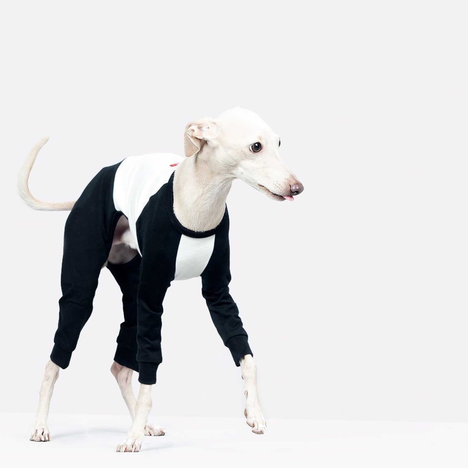 vemvem® ballet: slim heat neckless - raglan black for italian greyhound