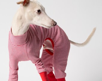 vemvem® BALLET - SUPERHERO for Italian greyhound