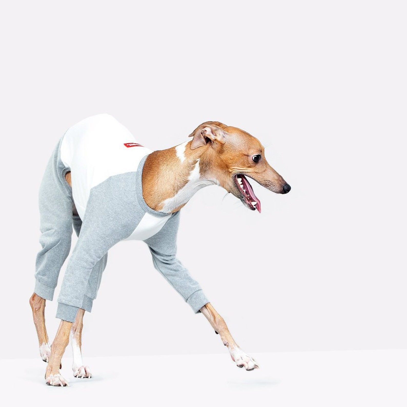 vemvem® ballet: slim heat neckless - raglan grey for italian greyhound vemvem® ballet: slim heat neckless - raglan grey for italian greyhound
