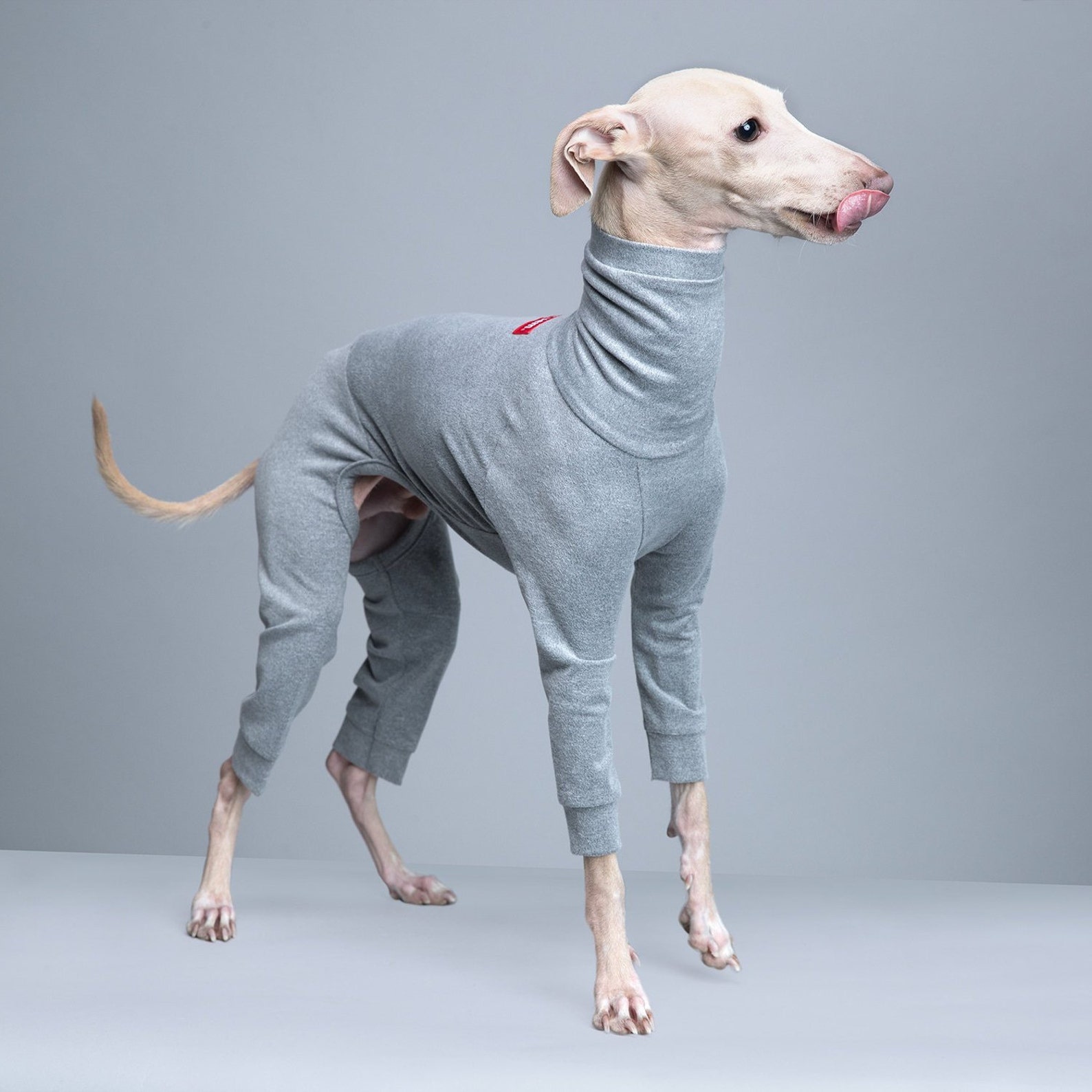 vemvem® ballet: slim heat - gray for italian greyhound