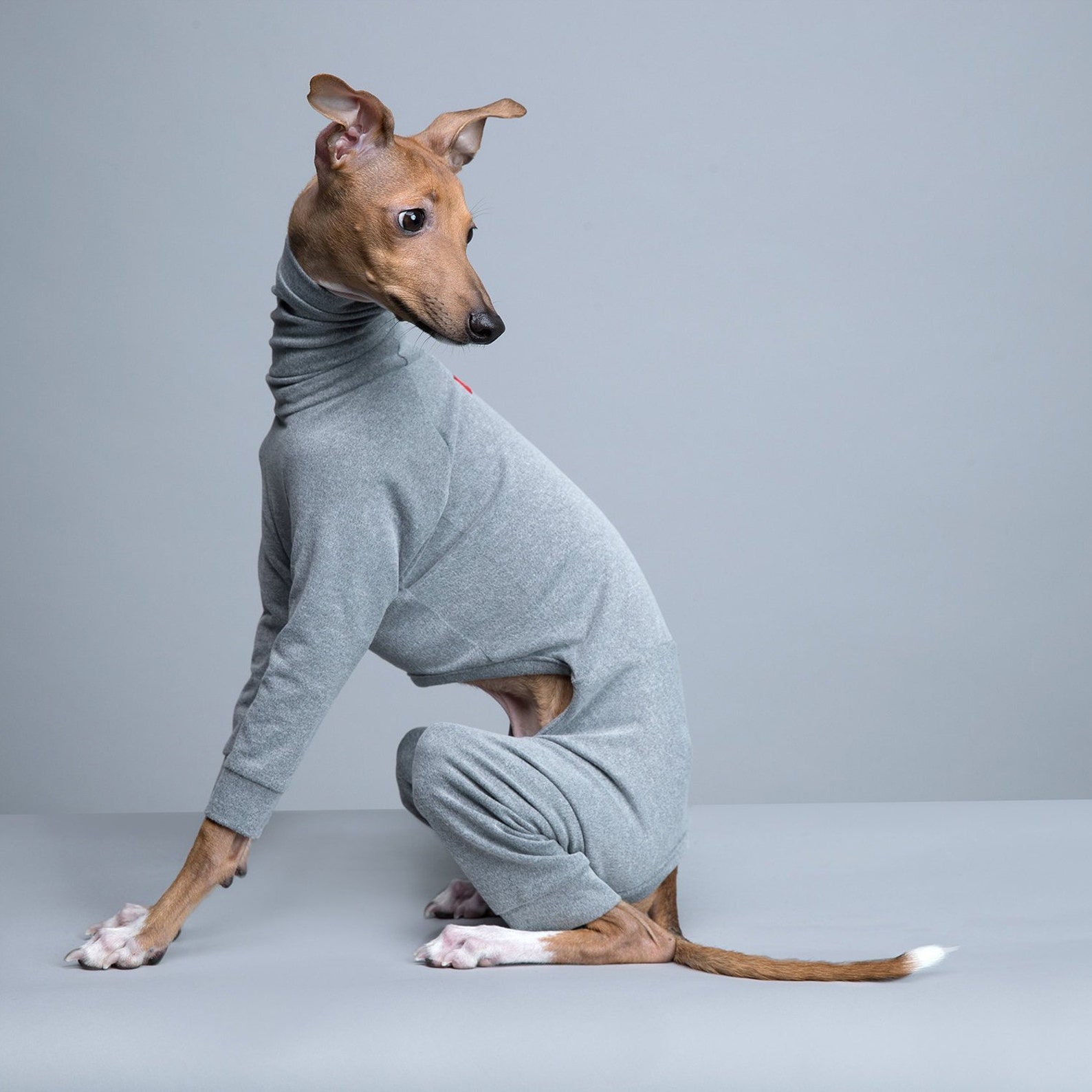 vemvem® ballet: slim heat - gray for italian greyhound