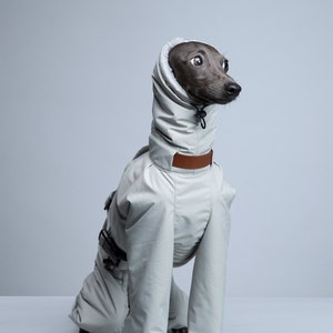 Vemvem® Gravity: Super Warm Silver for Italian Greyhound - Etsy