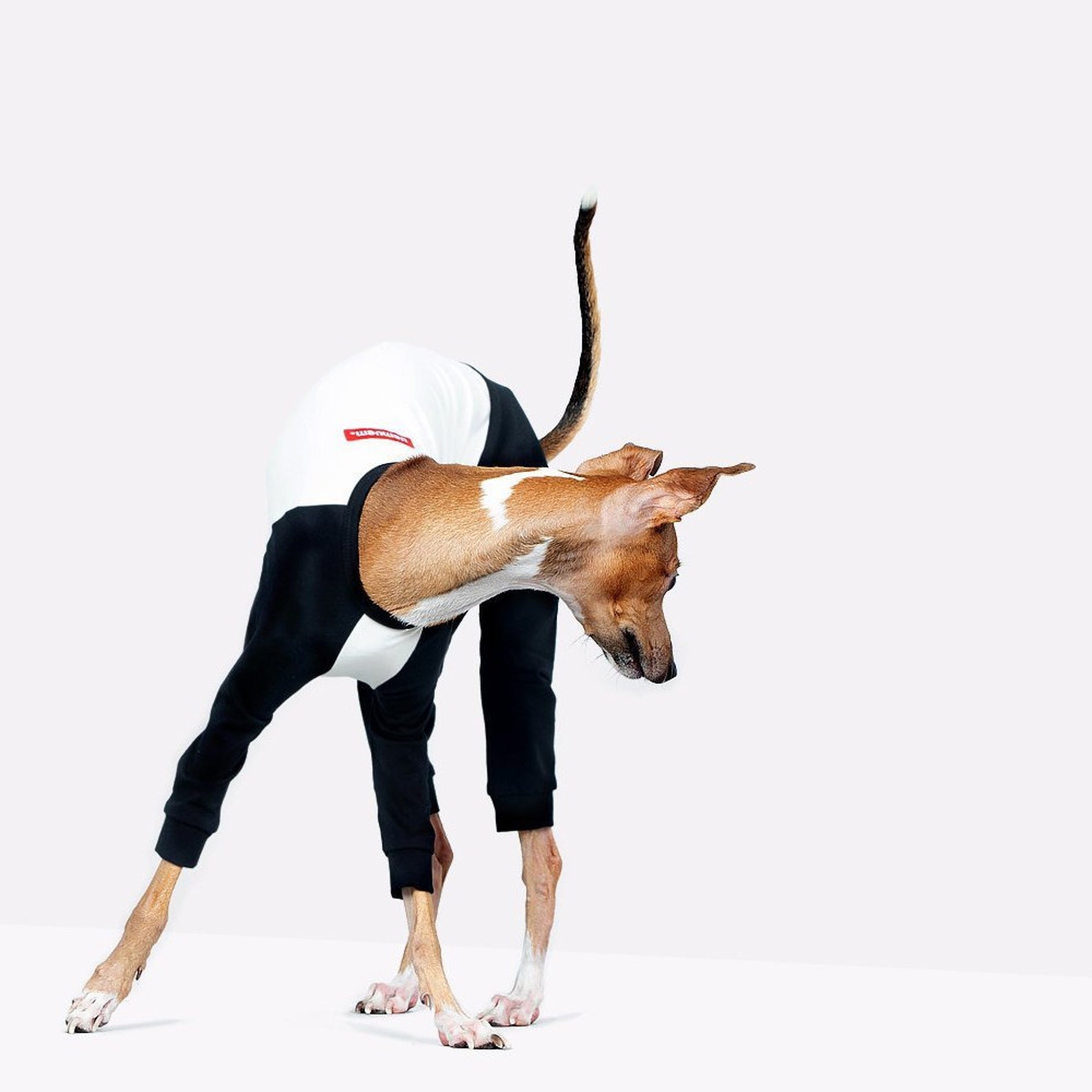 vemvem® ballet: slim heat neckless - raglan black for italian greyhound
