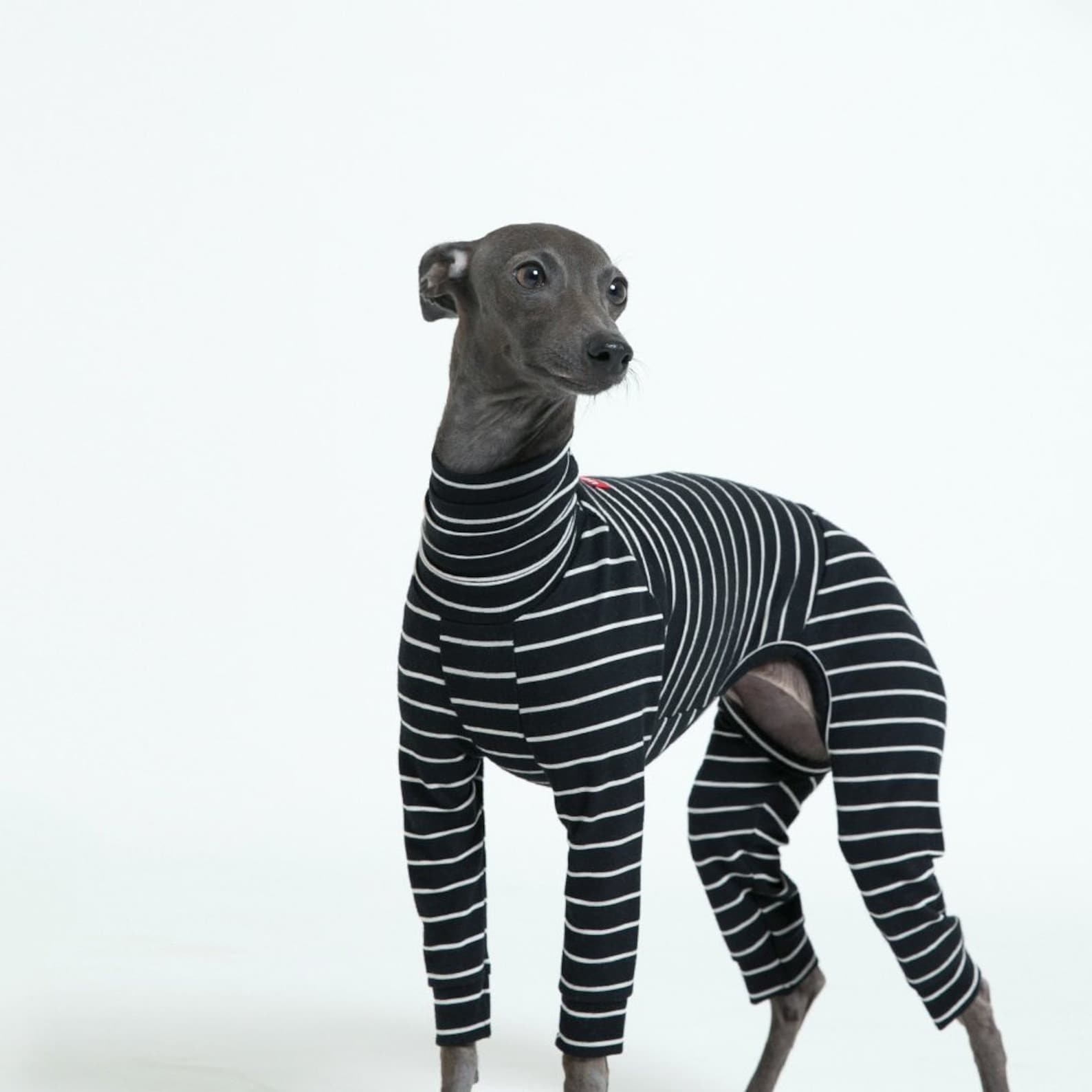 vemvem® ballet: slim heat - stripe - black for italian greyhound