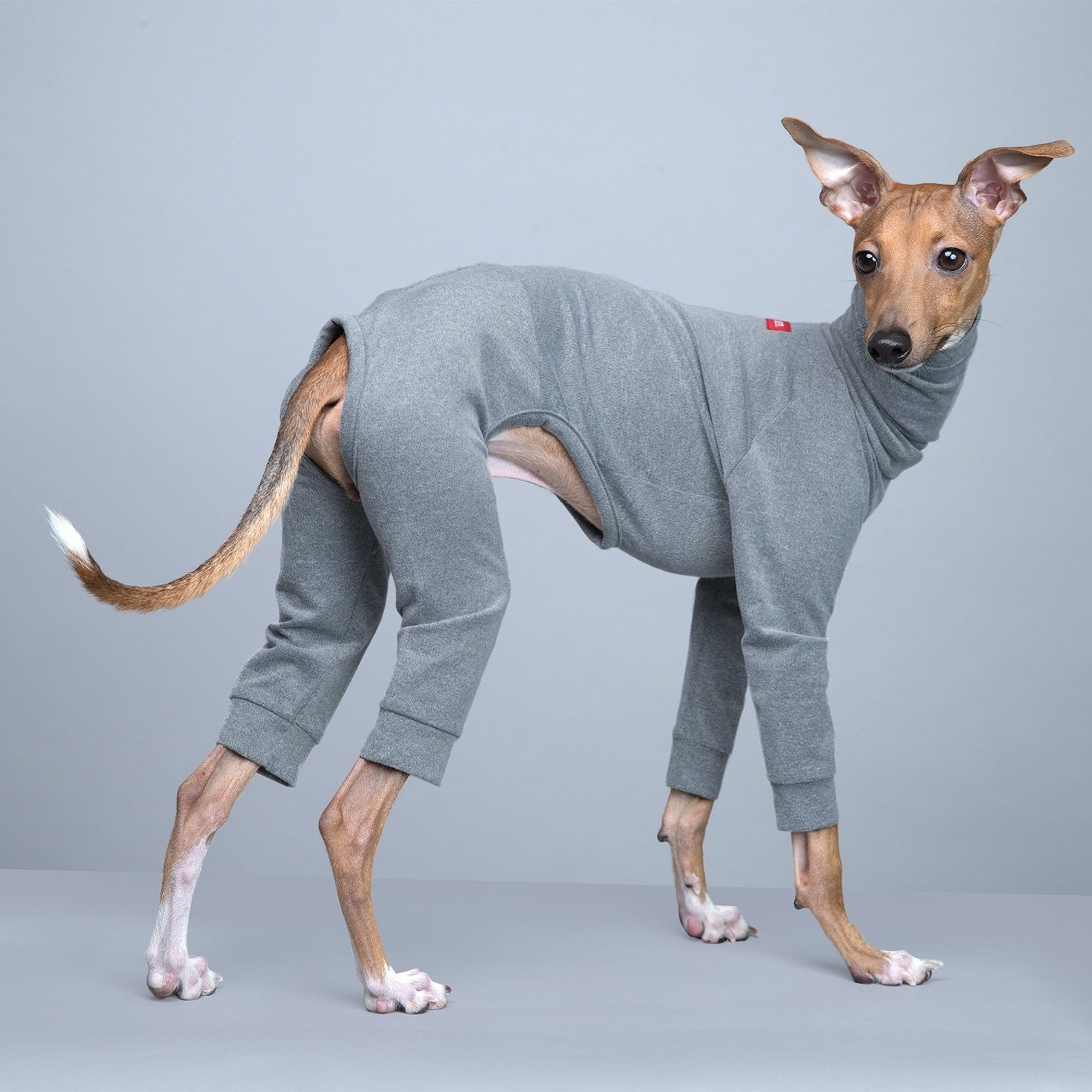 vemvem® ballet: slim heat - gray for italian greyhound