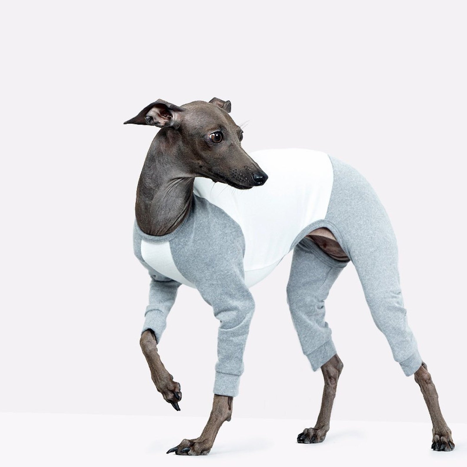 vemvem® ballet: slim heat neckless - raglan grey for italian greyhound vemvem® ballet: slim heat neckless - raglan grey for italian greyhound