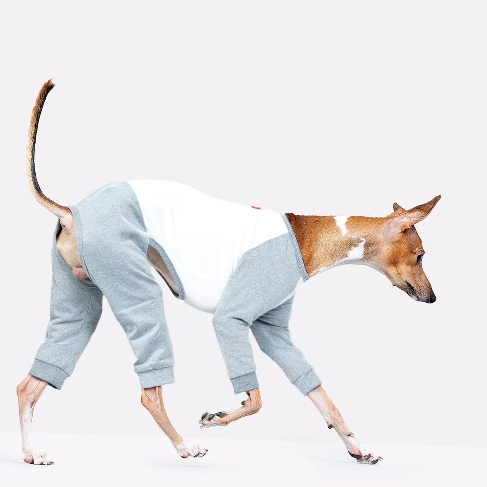 vemvem® ballet: slim heat neckless - raglan grey for italian greyhound vemvem® ballet: slim heat neckless - raglan grey for italian greyhound