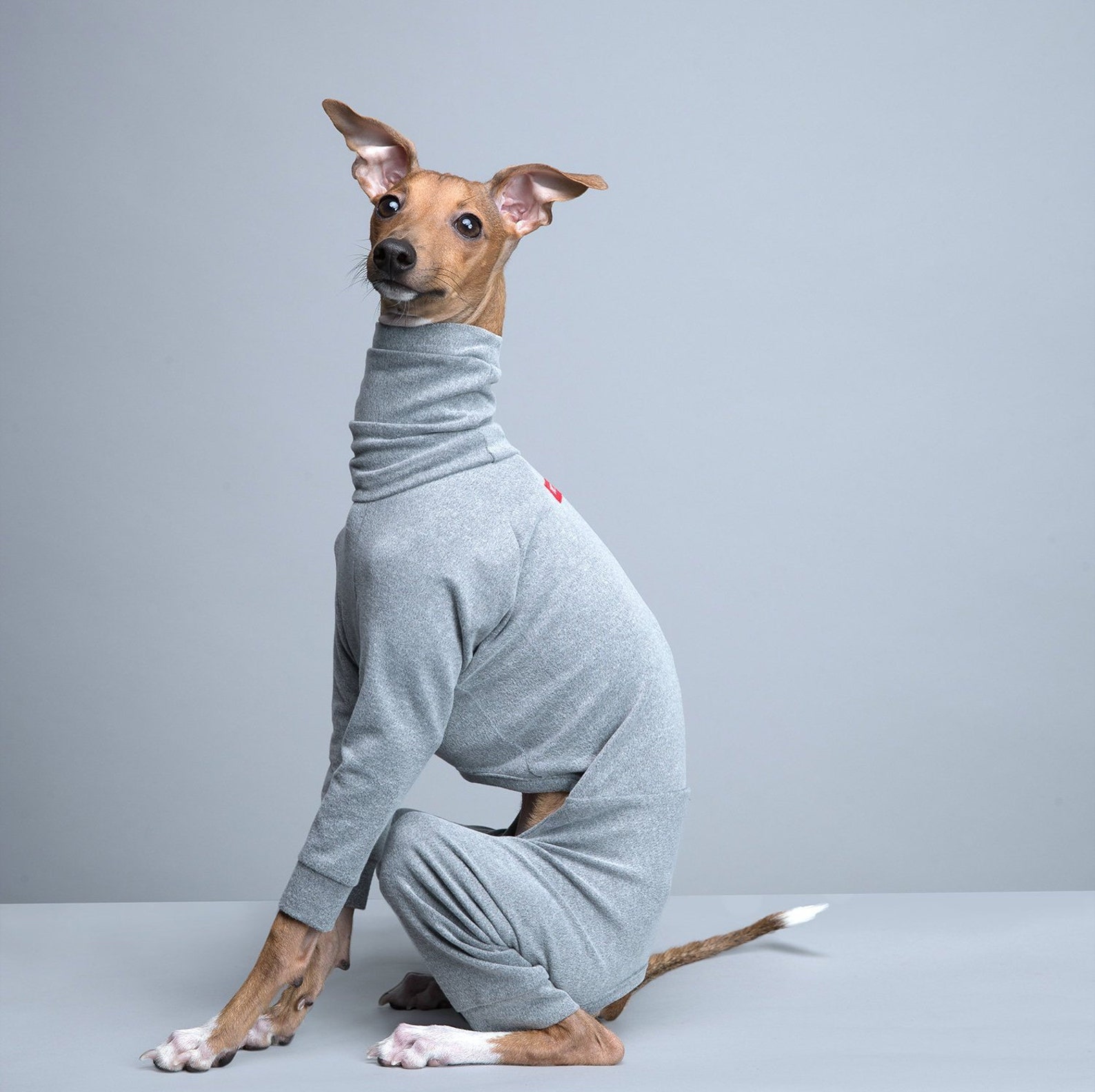 vemvem® ballet: slim heat - gray for italian greyhound