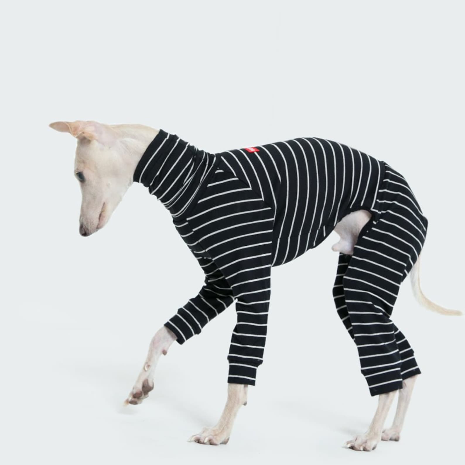 vemvem® ballet: slim heat - stripe - black for italian greyhound