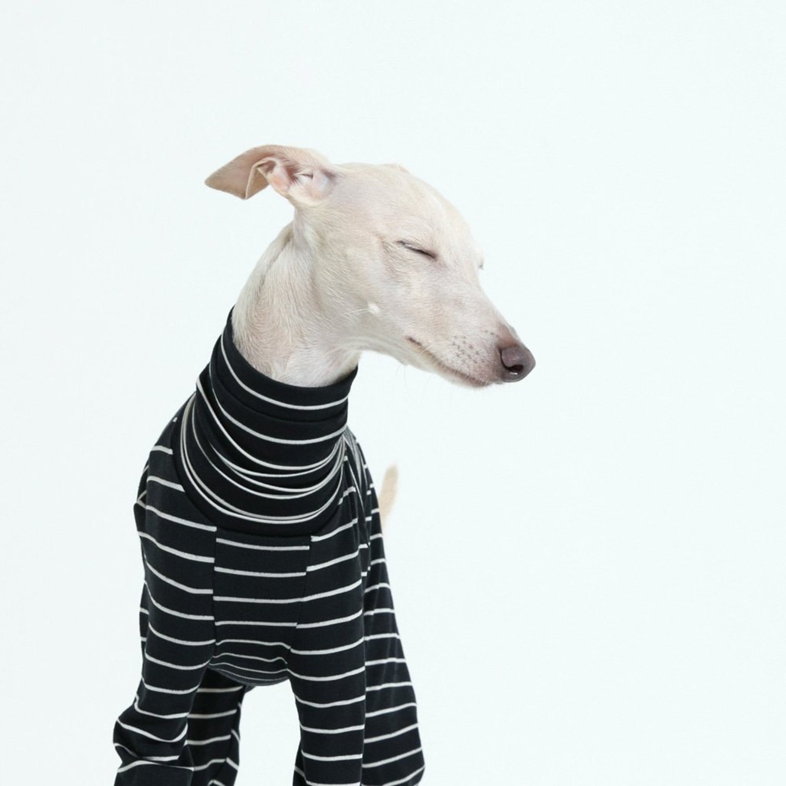 vemvem® ballet: slim heat - stripe - black for italian greyhound