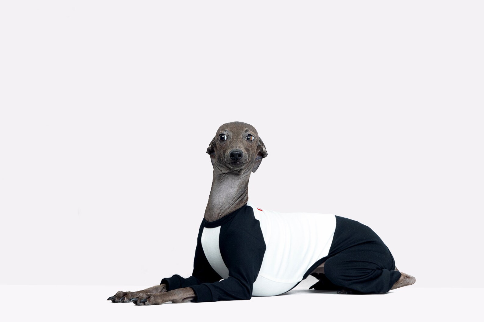 vemvem® ballet: slim heat neckless - raglan black for italian greyhound