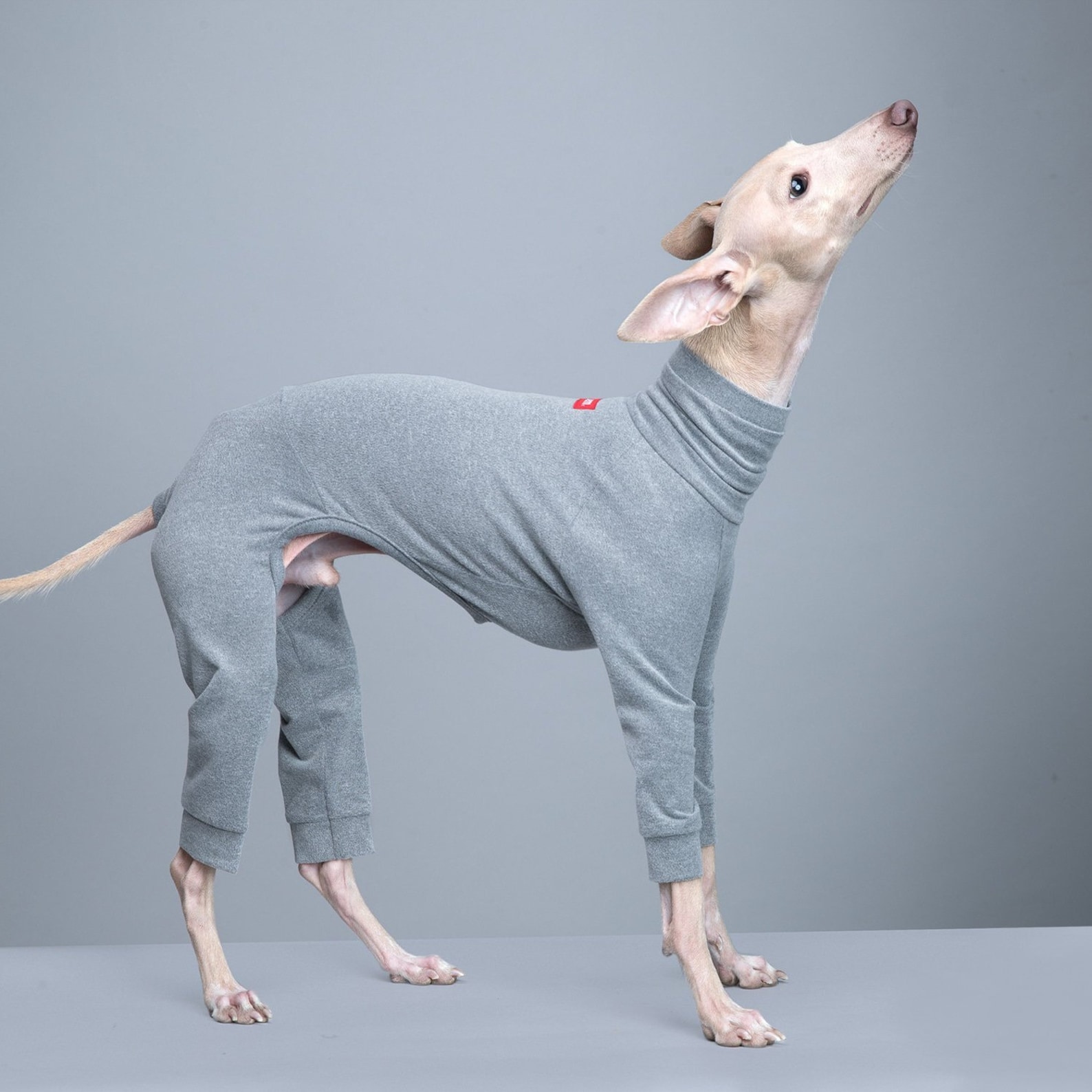 vemvem® ballet: slim heat - gray for italian greyhound
