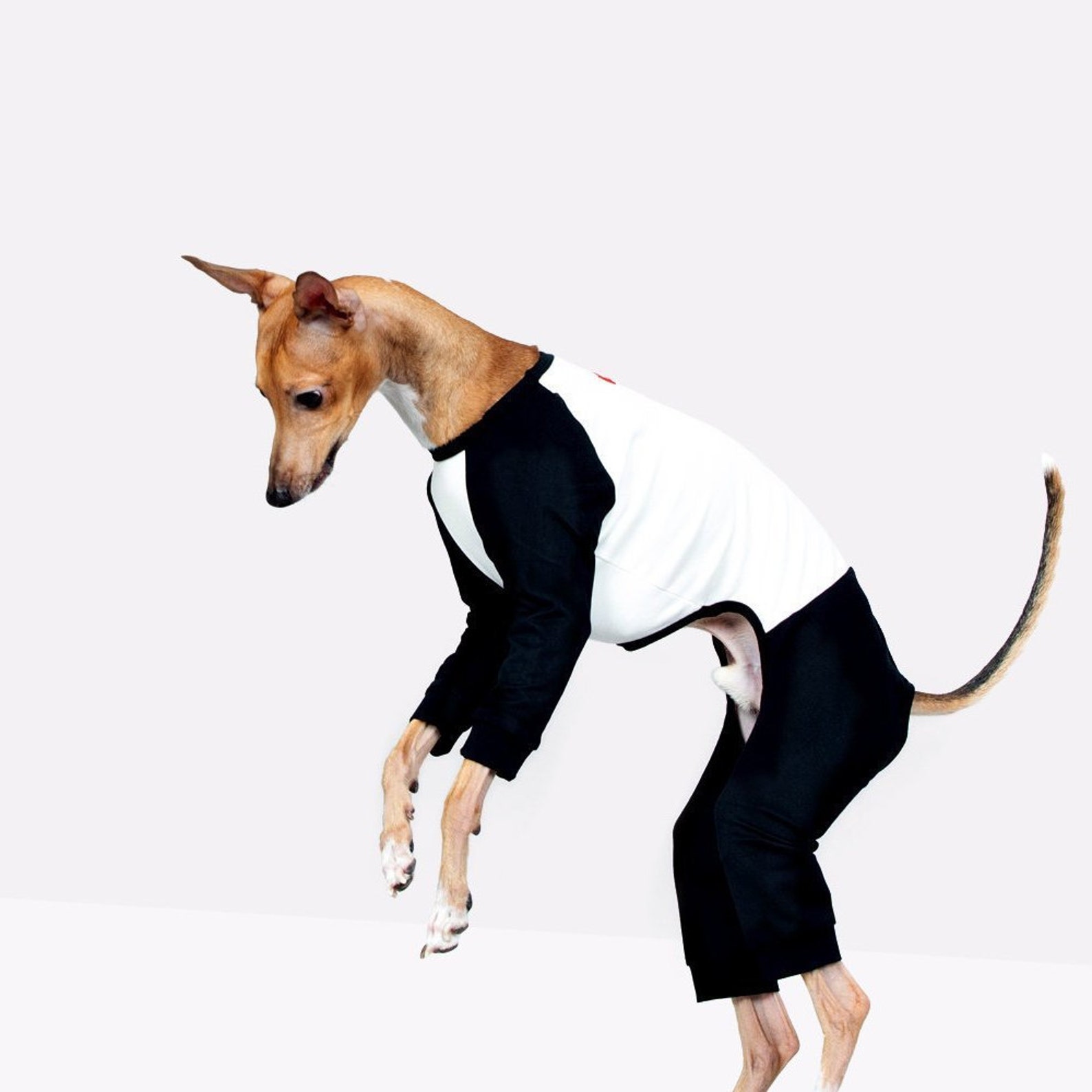 vemvem® ballet: slim heat neckless - raglan black for italian greyhound