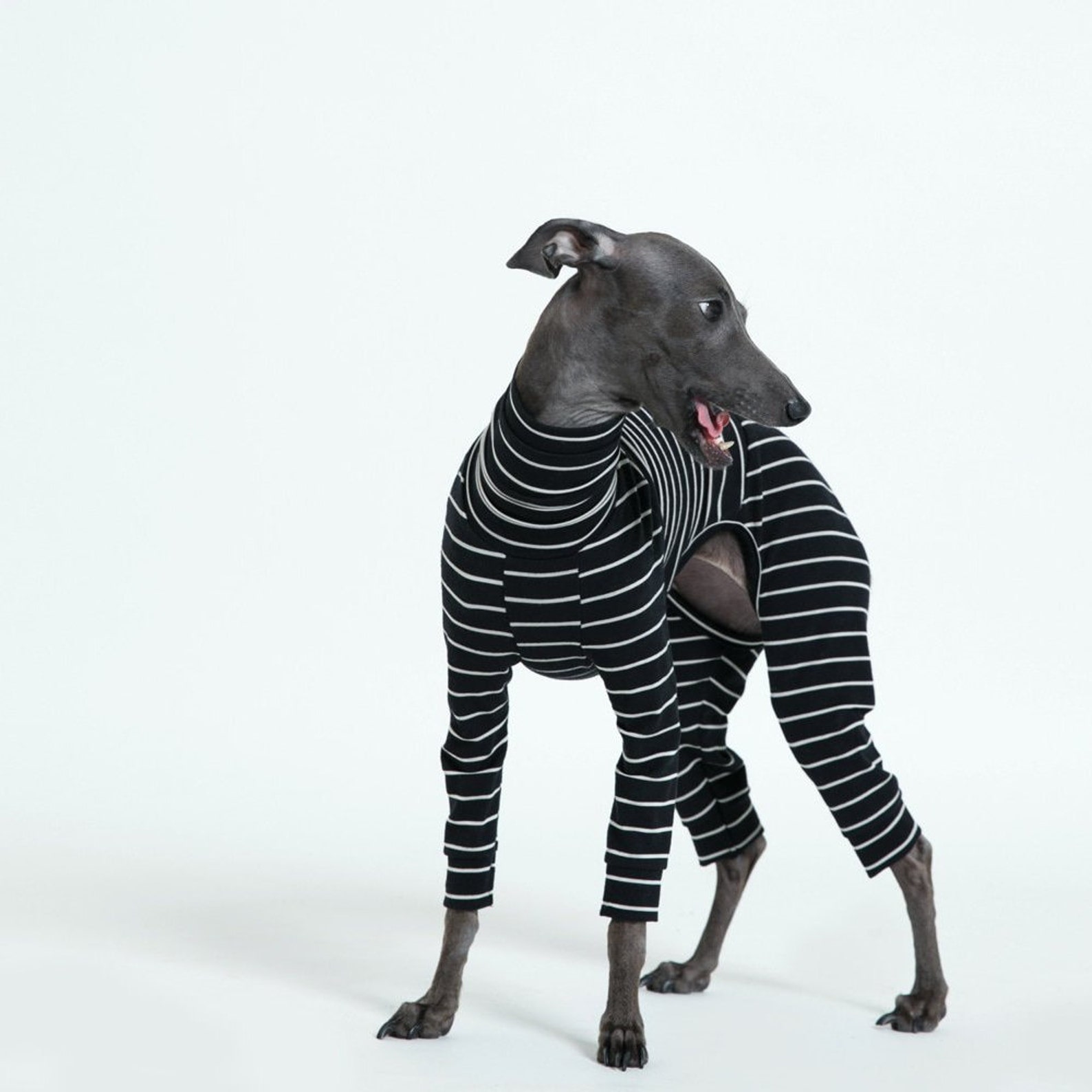 vemvem® ballet: slim heat - stripe - black for italian greyhound