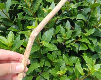 Oak Wood wand - wicca, pagan, strength, wisdom and knowledge.