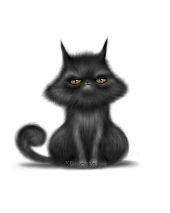 grumpy black cat