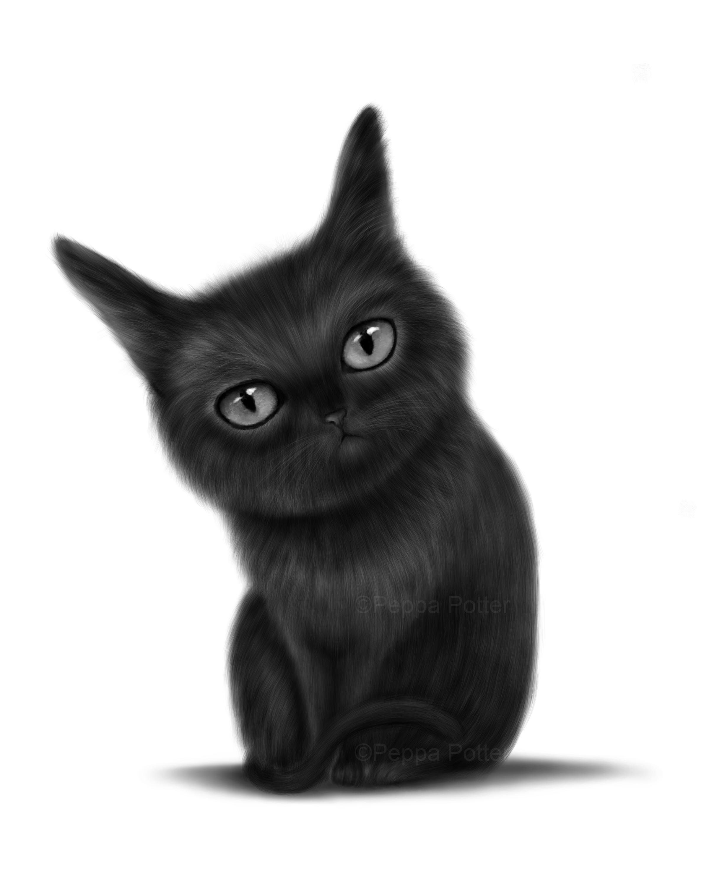 Black Kitten Art Print Kitten Drawing Black Cat Etsy