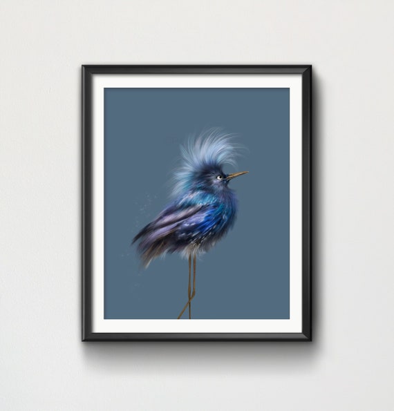 Bird Feathers available as Framed Prints, Photos, Wall Art and Photo Gifts