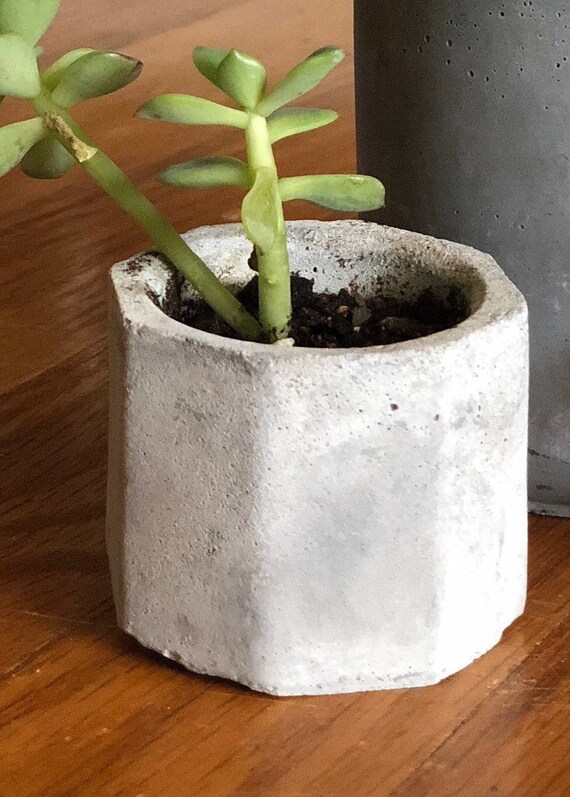 Artisan Concrete Planter Succulent Indoor Planter Modern Etsy