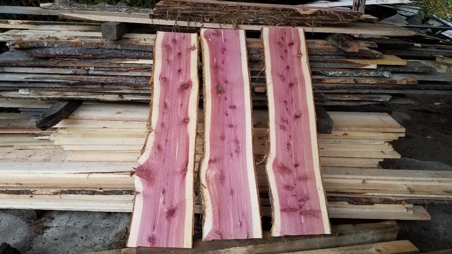 Aromatic Eastern Red Cedar Slabs Etsy