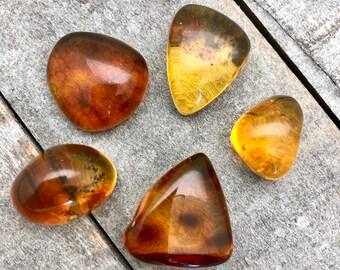 Handmade Jewelry J0626 6cm Golden Yellow AMBER Earrings Natural Amber Beads from Chiapas Mexico and Sterling Silver Findings