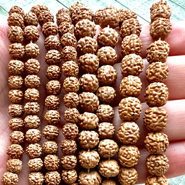 Rudraksha Beads, 6mm or 8mm strand of 54-108 beads, 5-faced, for mala/jewelry crafting