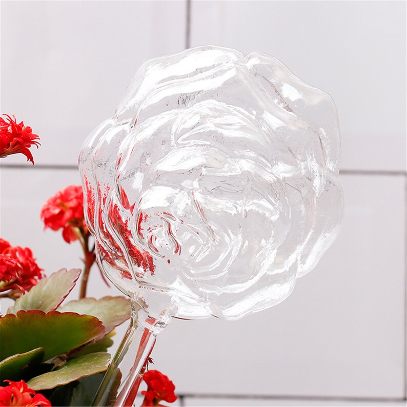 Indoor Plant Glass Watering Globes Self Watering Automatic Etsy UK