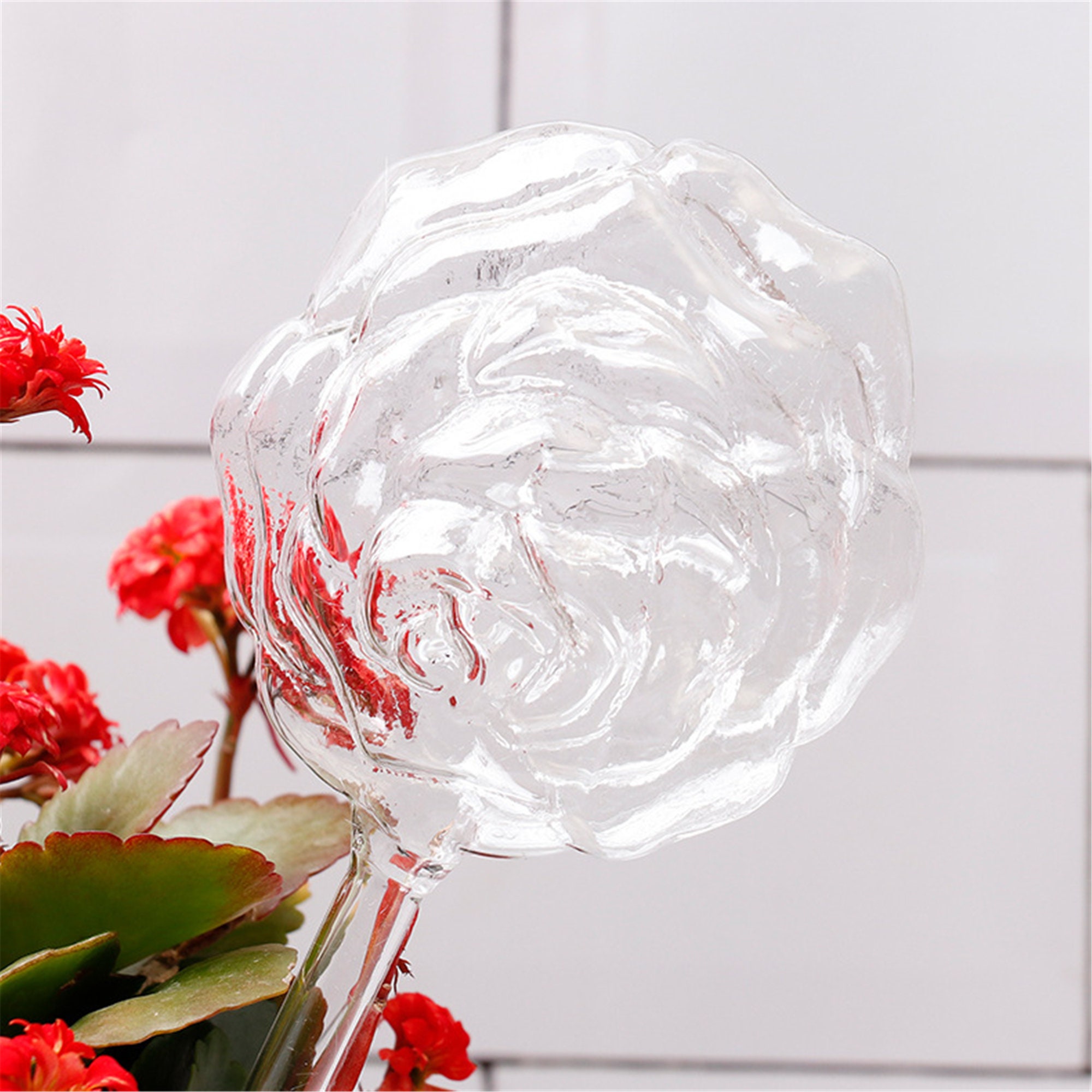 Indoor Plant Glass Watering Globes Self Watering Automatic Etsy