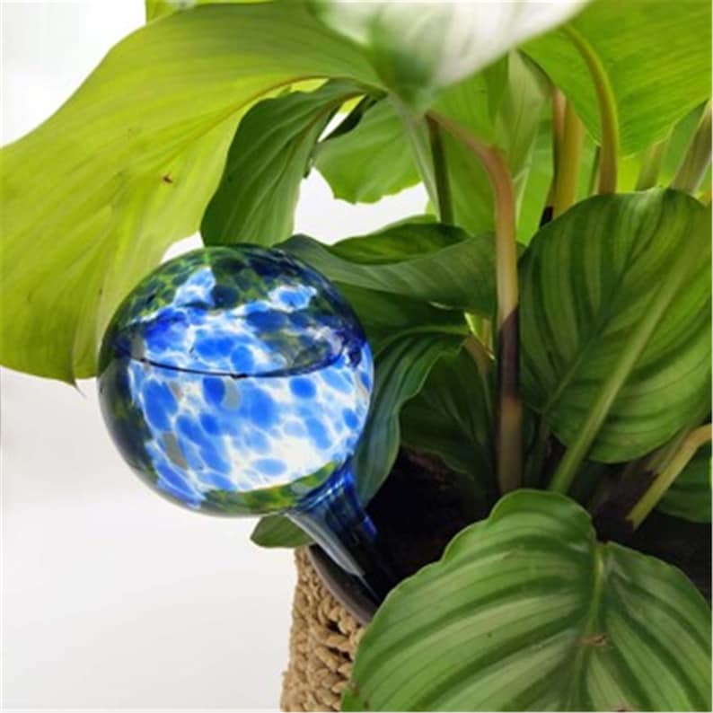 Indoor Plant Watering Globes Self Automatic Watering Bulbs