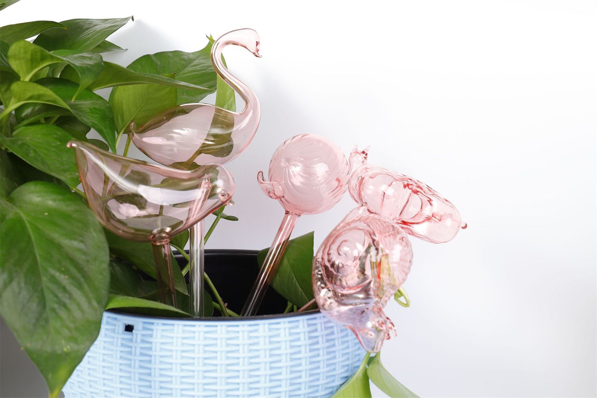 Indoor Plant Glass Watering Globes Self Watering Automatic Etsy UK