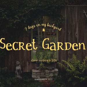 Handdrawn Serif Font Whimsical Handwritten Font Magical Fantasy Font Organic Witchy Style Storyland of Etoiles Typeface