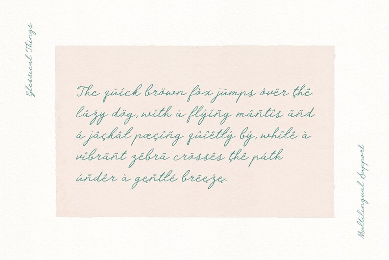 Stroke Script Font Handwritten Script Font Whimsical Pencil Stroke Style Glessical Things ...