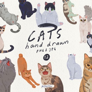 Op de afbeelding: Een verzameling van 12 handgetekende kattenillustraties in verschillende poses en kleuren. Het kunstwerk bevat katten in tinten grijs, zwart, oranje en bruin, sommige met unieke markeringen. Het woord "CATS" is geschreven in grote, zwarte, handgeschreven letters.