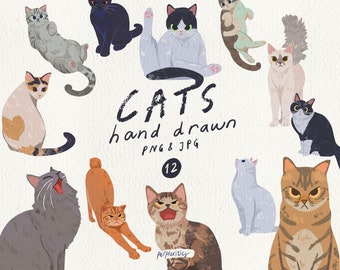 Funny Cat Clipart Cat Illustrations High-Quality PNG & JPG Set Cute Kittens Animal Digital Clipart Adorable Cat Clipart Collection