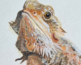 Beardie Print
