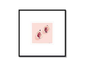 California Fig Art Print: Pastel Pencil Botanical Illustration