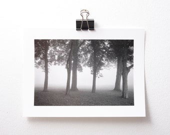 The Fog - Photography - Classic High Quality Photographic Print on Ilford Black&White Paper