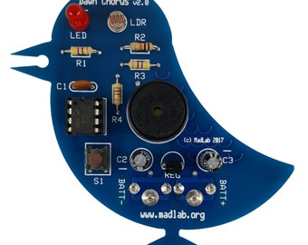 Dawn Chorus soldering kit