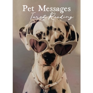 Pet Tarot Reading: Messages from Living or Passed Pets