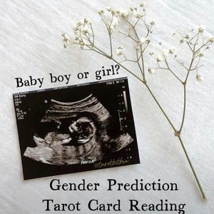 Gender Prediction Tarot Reading (same day!)
