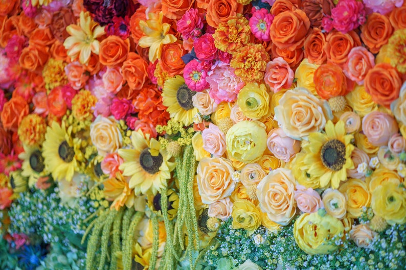 Rainbow Flower Wall © Backdrop for RENTAL Etsy