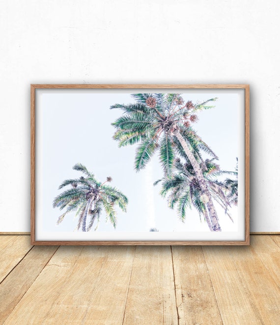 18++ Top Palm trees wall art images information