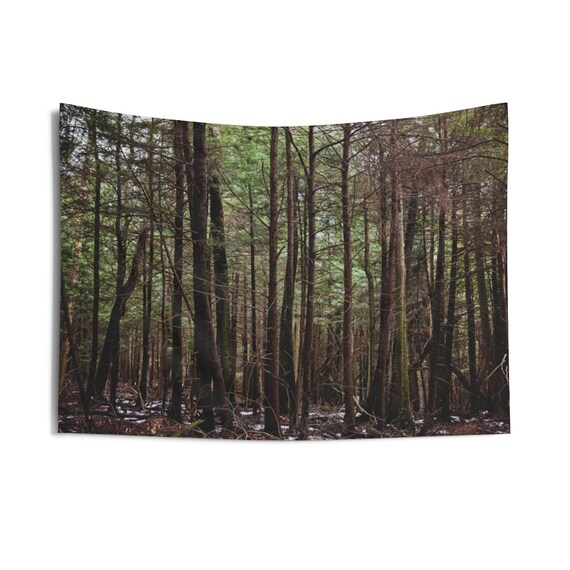 Deep in the Allegheny Mountain Forest Indoor Wall Tapestries, Wall Decor, Home Decor, Wall Hanging