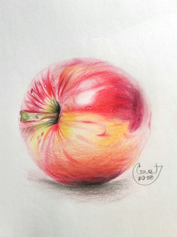Apple Drawing Etsy