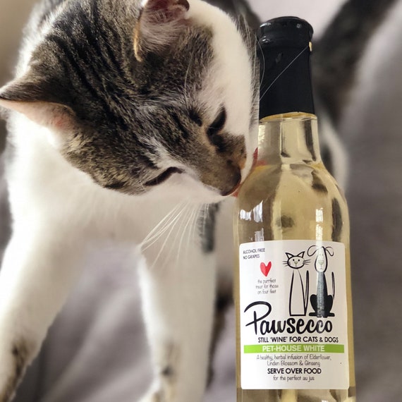 cat pawsecco