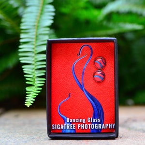 Photography Jewelry | Dancing Glass | Post Earrings